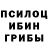 Псилоцибиновые грибы прущие грибы Igor Sopulin