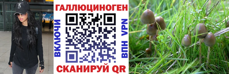 mega маркетплейс  Татарск  Галлюциногенные грибы мицелий 